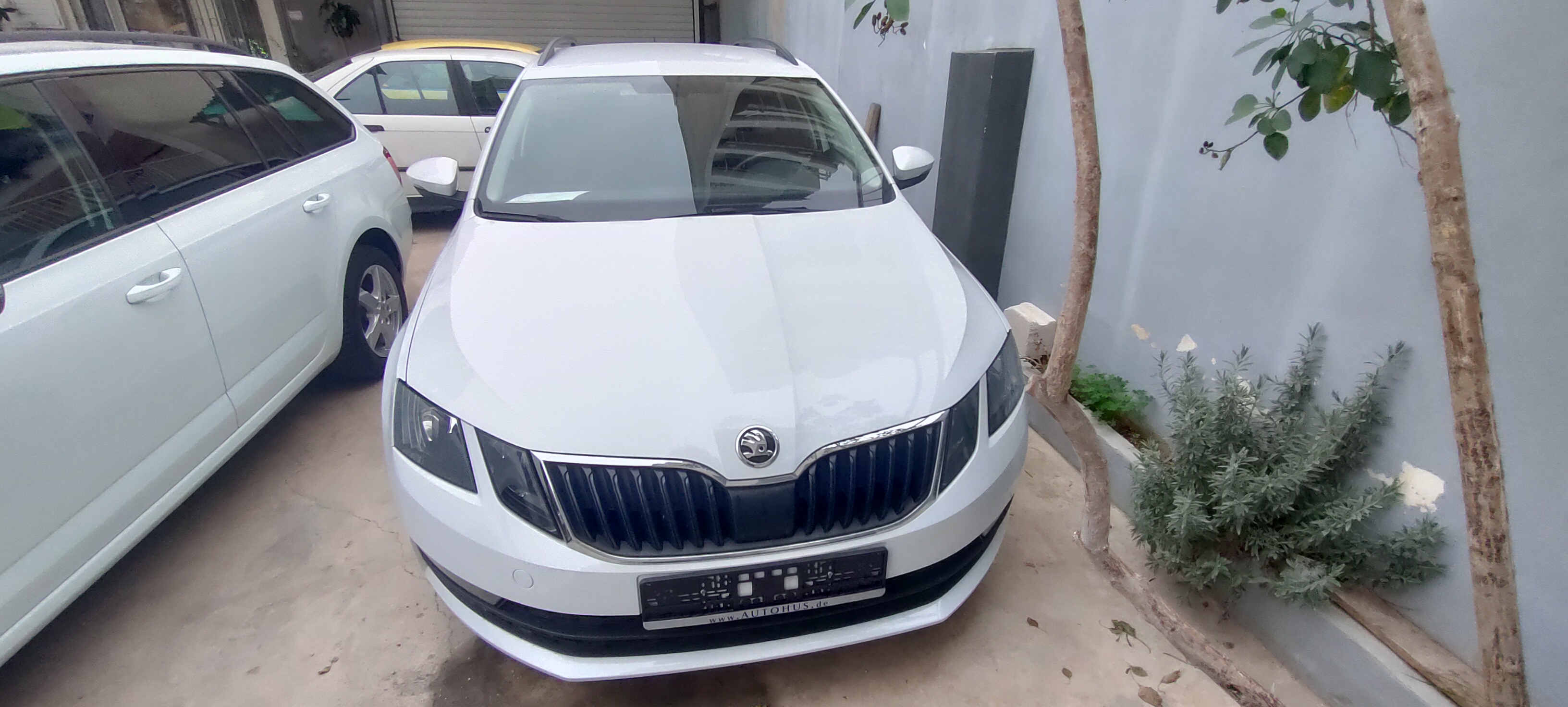 Skoda Octavia kombi ambition  2019